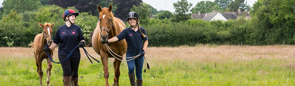 Common Leys Farm campus